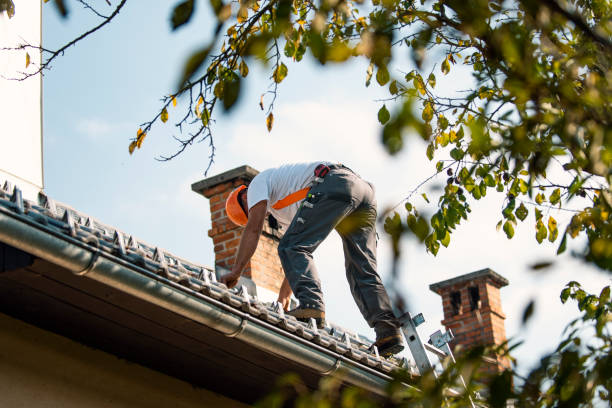 Steel Roofing in York, AL